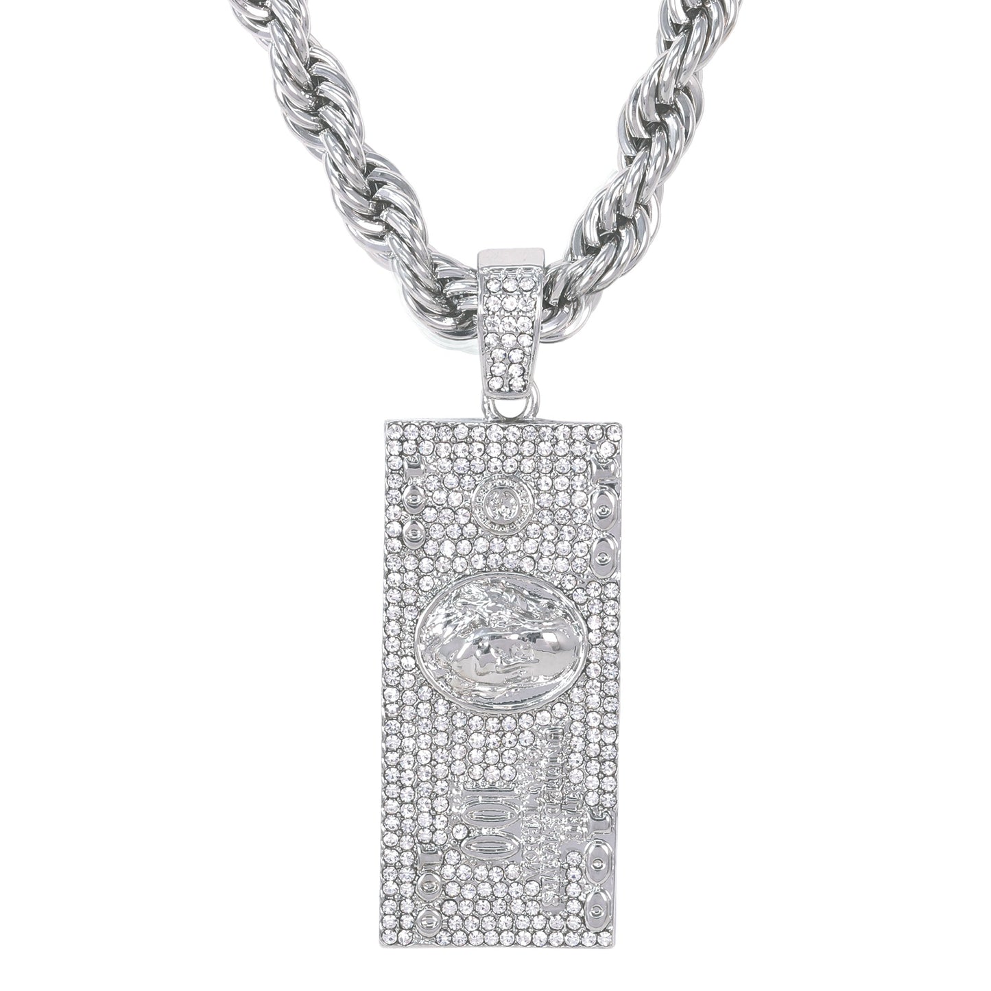 Iced Large Money Pendant with 8mm Rope Chain 24" - HC-8034