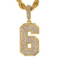 Iced Large 6 Pendant with 8mm Rope Chain 24" - HC-8079