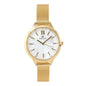 Ladies DK Mesh Band Watch - 10031-MS
