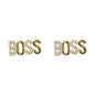 Boss Earrings - ER 618