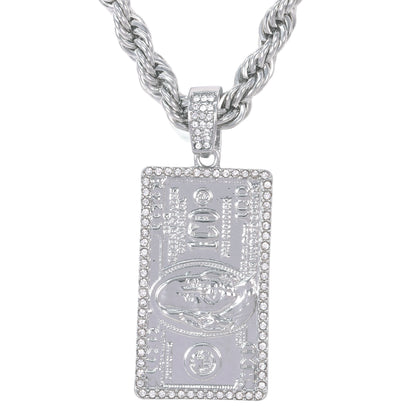 Iced Large Money Pendant with 8mm Rope Chain 24" - HC-8006