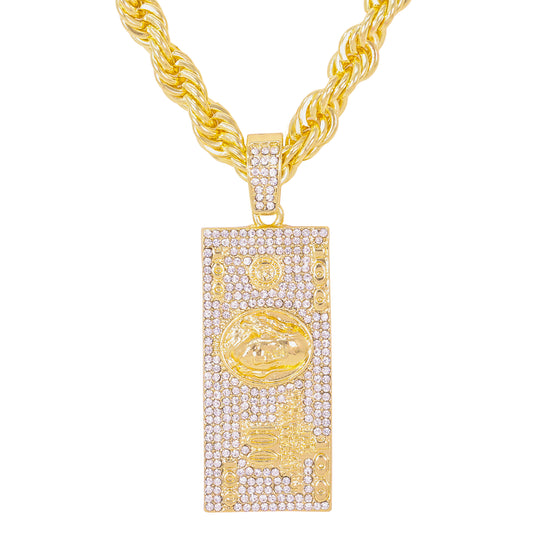 Iced Large Money Pendant with 8mm Rope Chain 24" - HC-8034