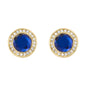 Color Stone Earrings - MP 220