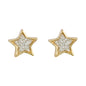 Star Earrings - SA 205