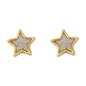 Star Earrings - SB 205