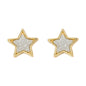 Star Earrings - SC 205