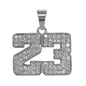 Iced Out 23 Pendant - SP-4023