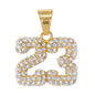 Iced Out 23 Pendant - SP-4317