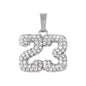 Iced Out 23 Pendant - SP-4317